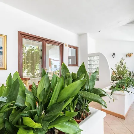 Hotel Bonsai San Teodoro (Sardinia)