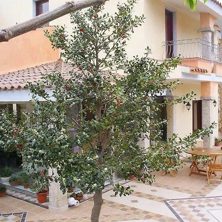 Bonsai