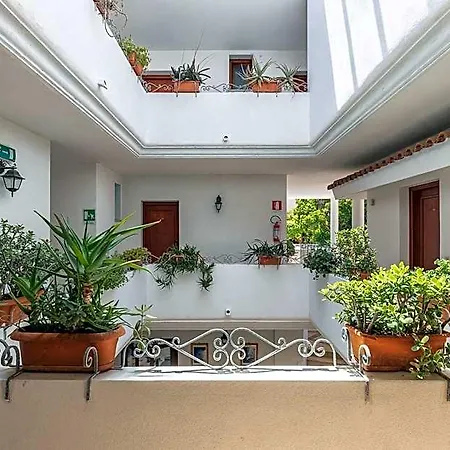Bonsai